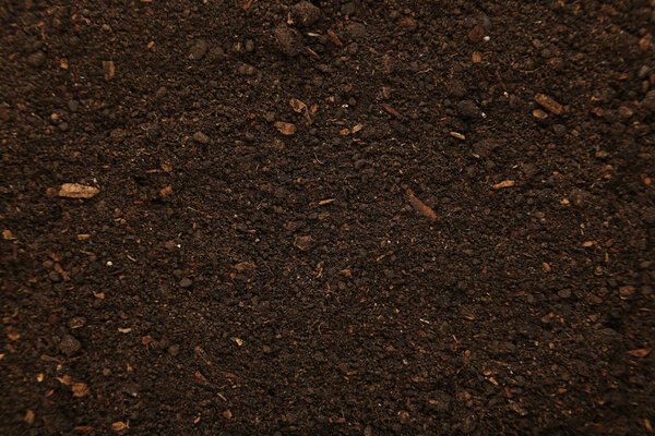Soil organic background