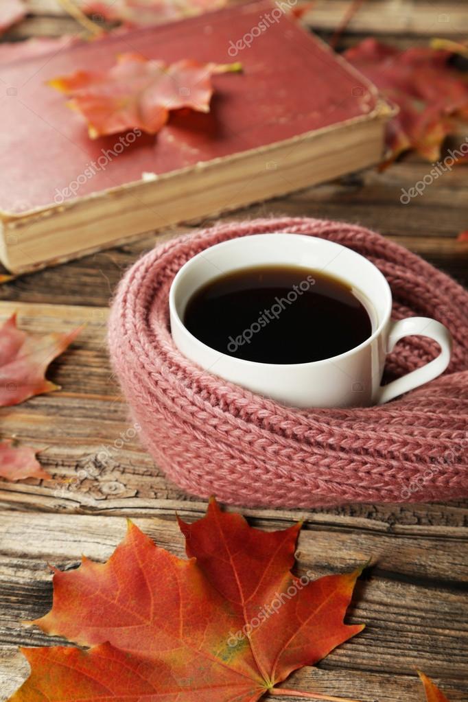 vartotojo kelta nuotrauka