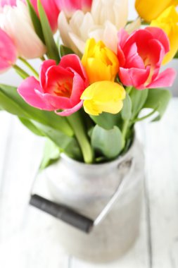 Kutu içinde güzel Lale