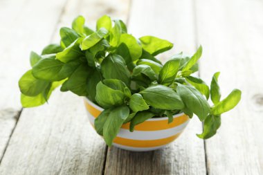 Kabın içinde fesleğen yaprakları