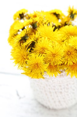 Sepet içinde sarı karahindiba