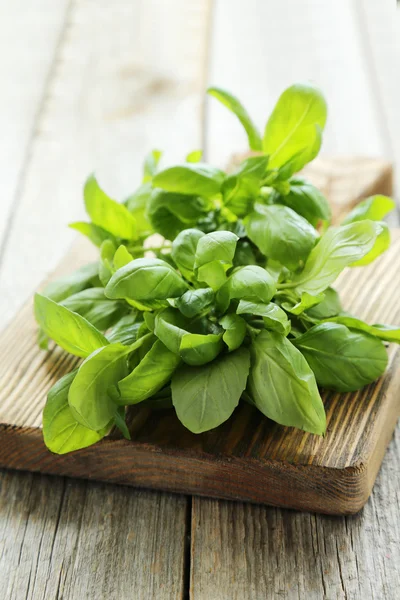 Basil  on wooden background — Stock Photo, Image