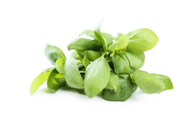 Fresh basil leaves — Stock Photo, Image