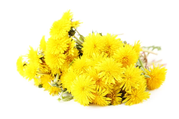 Beautiful yellow dandelions — Stock Photo, Image