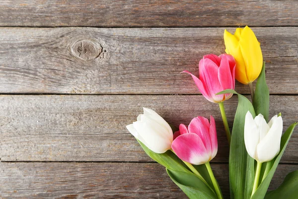 Beautiful colorful tulips — Stock Photo, Image