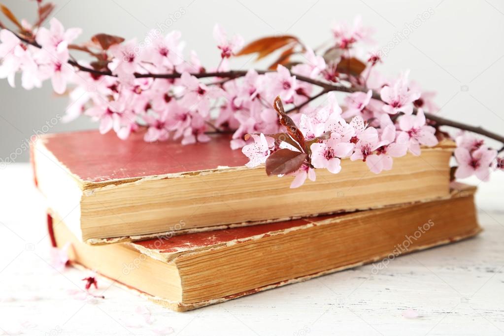 Spring flowering branch with books