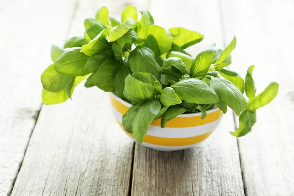 Basil leaves in bowl — Stock Photo, Image