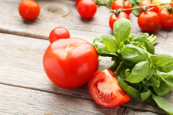 Tomater och basilikablad — Stockfoto