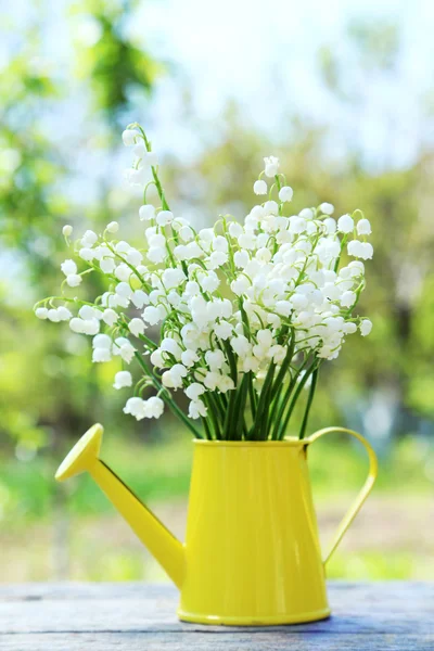 Lily of the Valley in gieter — Stockfoto