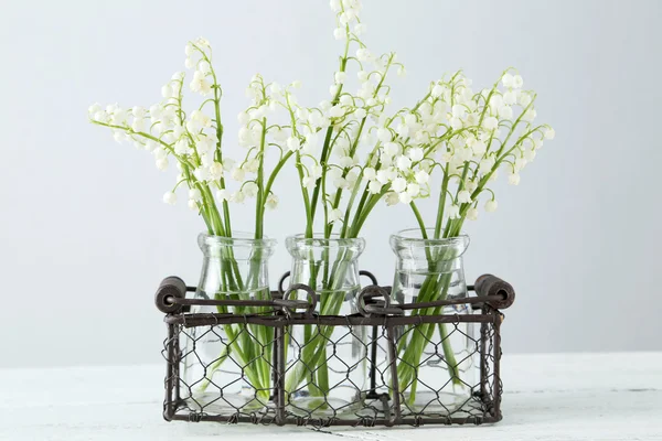 Lily of the Valley in bottles — Stock Photo, Image