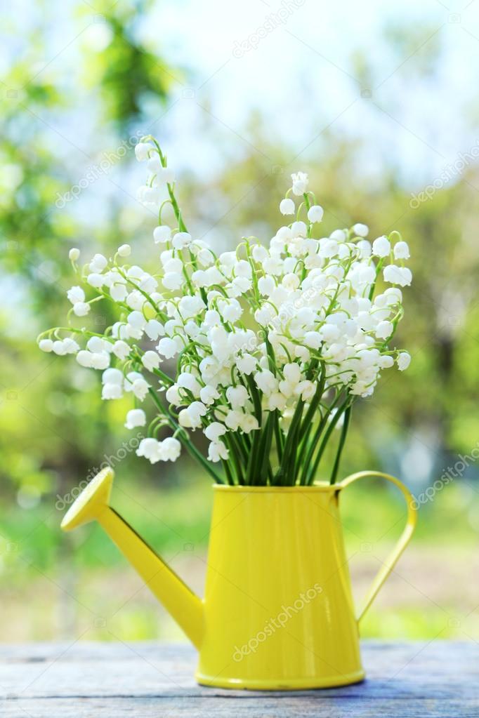 Lily of the Valley in watering can