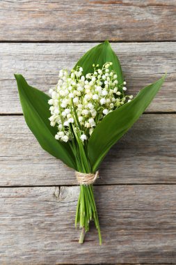 Lily vadi yaprakları ile