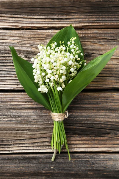 Lily of the Valley with leaves — Stock Photo, Image