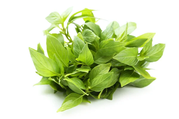 Fresh basil leaves — Stock Photo, Image