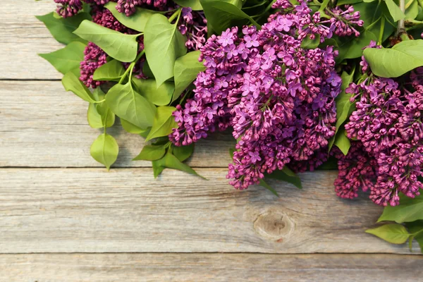 Fleurs lilas violettes — Photo