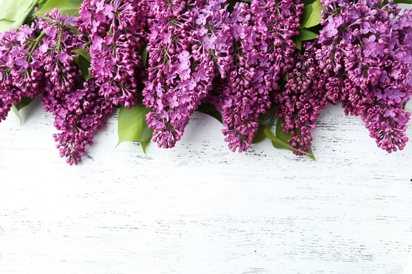 Purple lilac flowers — Stock Image Purple lilac flowers Stock Picture