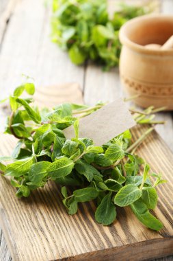 Kartı ile taze nane