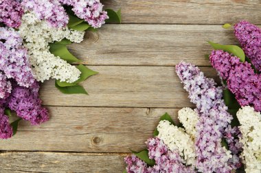 güzel leylak arka plan