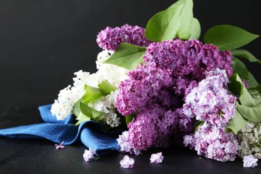 Güzel mor ve beyaz leylak