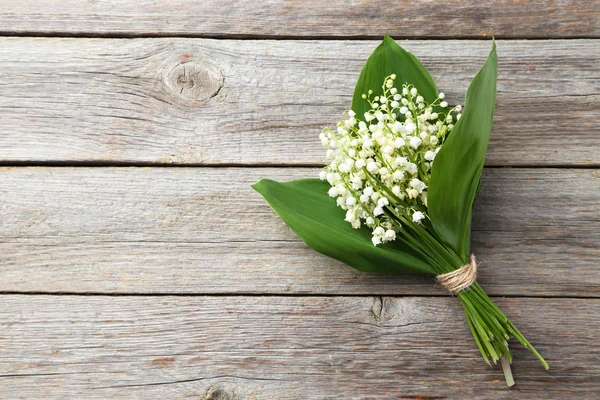 Lily of the Valley with leaves — Stock Photo, Image