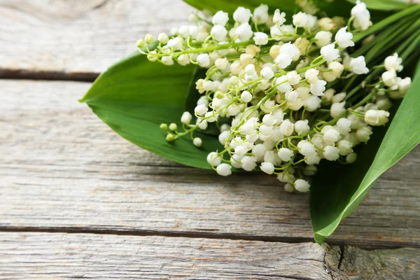 Lily of the Valley with leaves — Stock Photo, Image