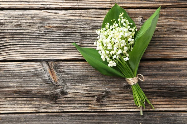 Lily of the Valley with leaves — Stock Photo, Image