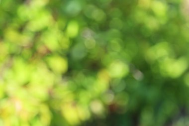 bokeh doğa arka plan