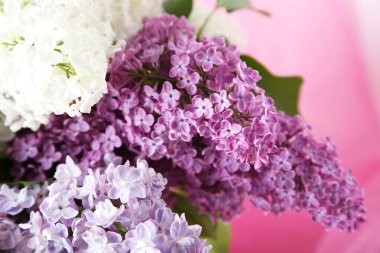 Eflatun çiçekler çok güzel