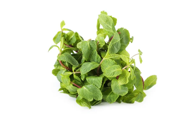 Fresh mint isolated on a white — Stock Photo, Image