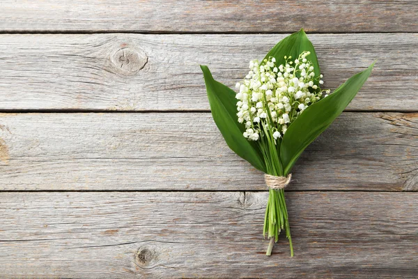 Lily of the Valley with leaves — Stock Photo, Image