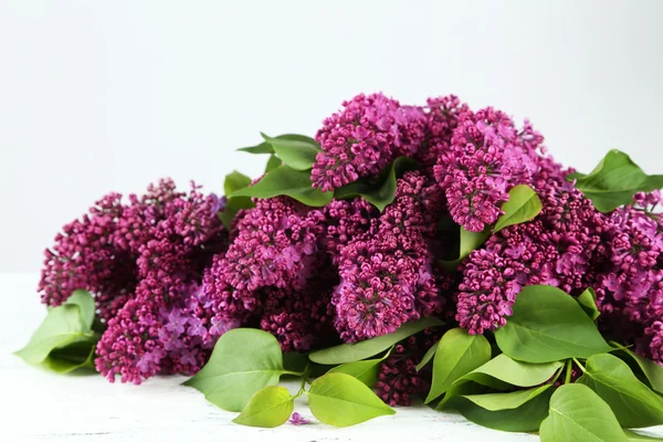 Lindas flores lilás roxo — Fotografia de Stock