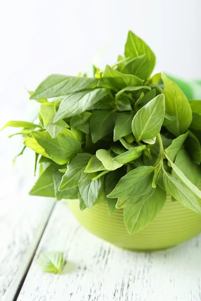 Basil daun dalam mangkuk — Stok Foto