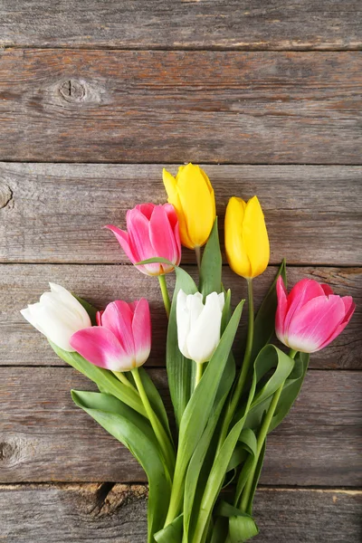 Beautiful colorful tulips — Stock Photo, Image