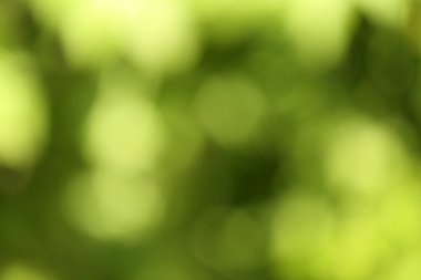 bokeh doğa arka plan