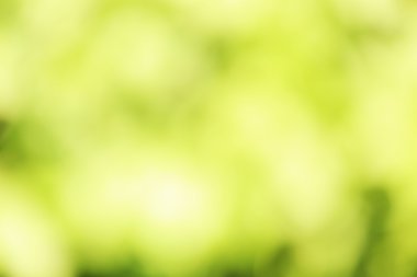 bokeh doğa arka plan