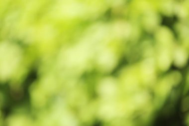 bokeh doğa arka plan