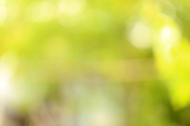 bokeh doğa arka plan