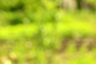 bokeh doğa arka plan