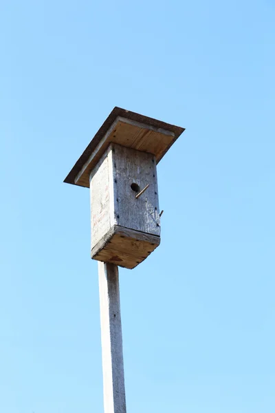 Vogel nesten vak — Stockfoto