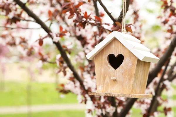 Häckande box hänger på trädet — Stockfoto