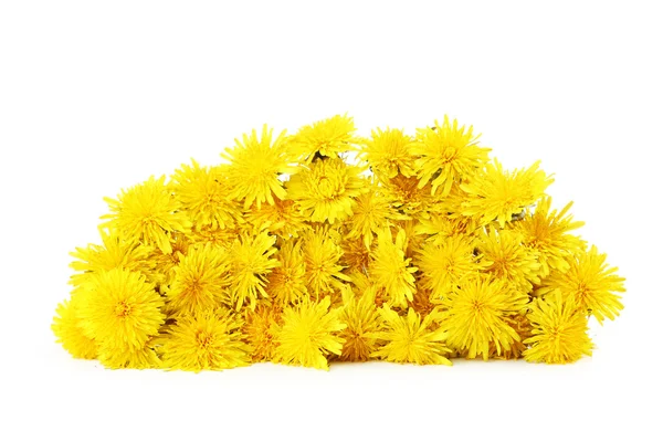 Güzel sarı dandelions — Stok fotoğraf