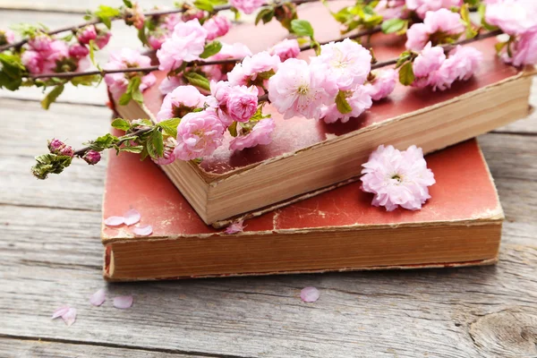 Lente bloeiende tak met oude boeken — Stockfoto