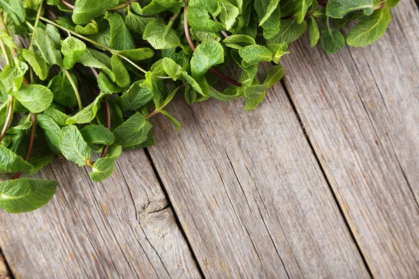 Menta fresca sobre fundo de madeira cinza — Fotografia de Stock