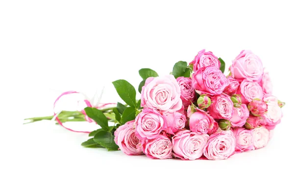 Vakre rosa roser – stockfoto