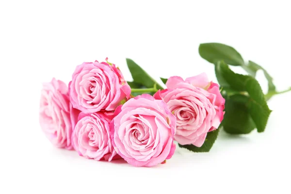 Belles roses roses avec coffret cadeau — Photo