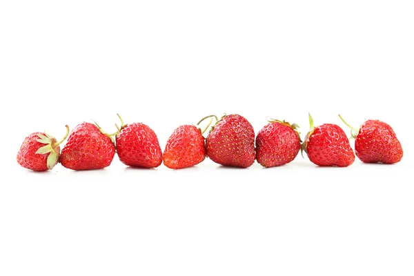 Fresas frescas maduras — Foto de Stock