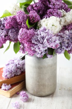 Sulama olabilir güzel leylak