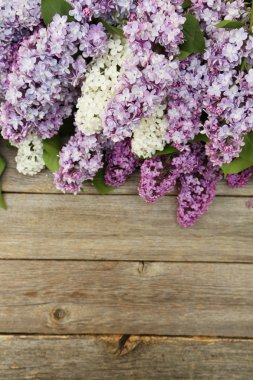 Eflatun çiçekler çok güzel