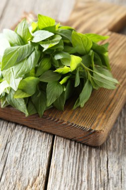 kesme tahtası üzerinde fesleğen yaprağı