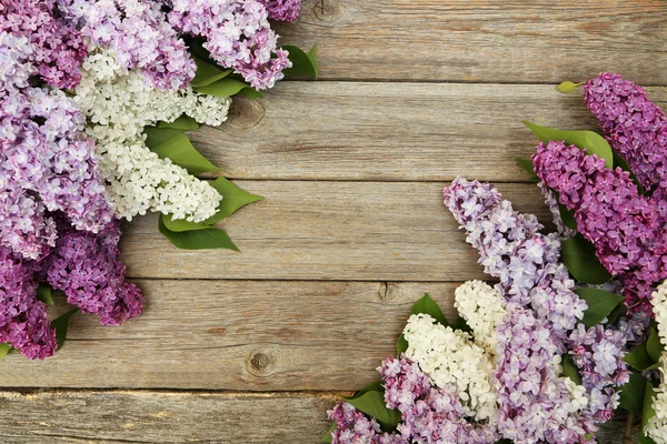 Krásná Lila na šedém pozadí dřevěná — Stock fotografie